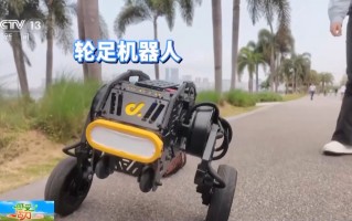 感受活力丨“听说读算”样样精通 人形机器人手巧“心”也灵